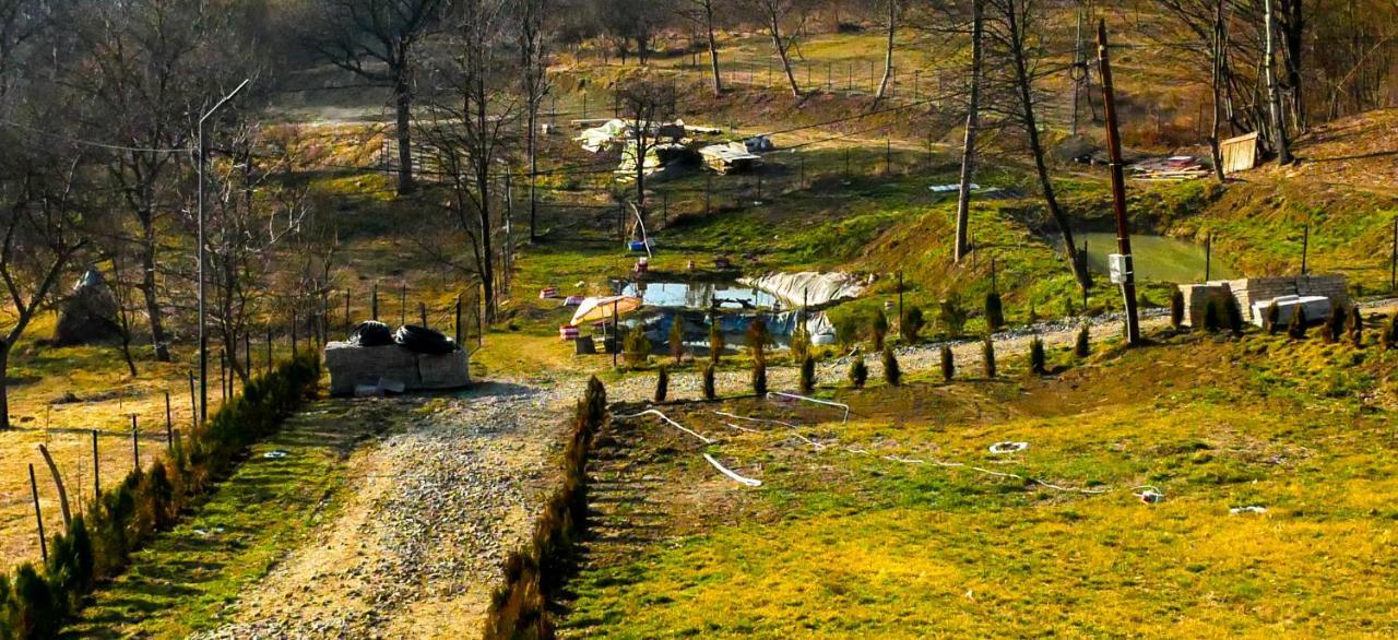 Pensiunea La Buruiana Curtea de Argeş Esterno foto